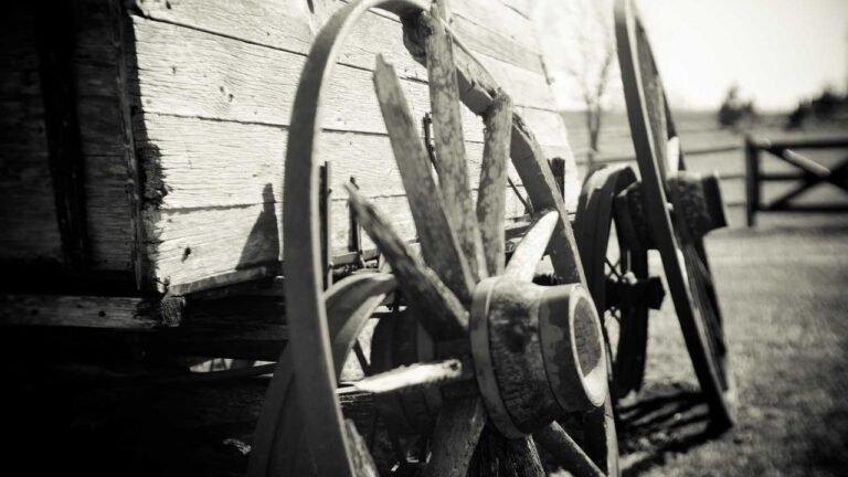 What Is An 11Xplay Online Id And How Does It Work?